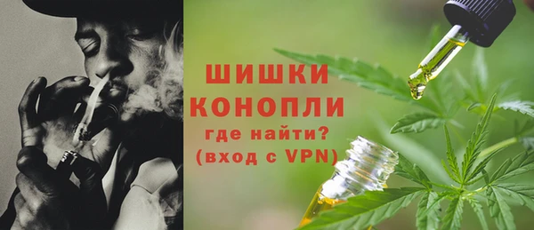 гидра Белокуриха