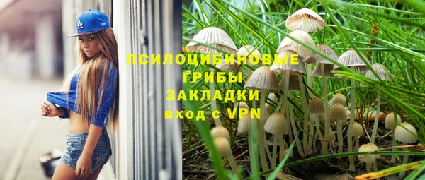 стафф Беломорск