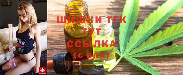 гидра Белокуриха