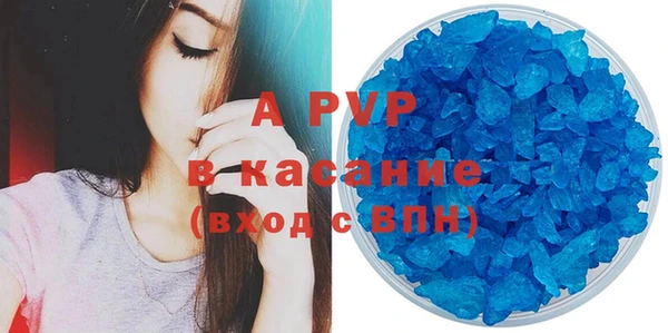гидра Белокуриха