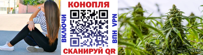 купить наркотик  Цоци-Юрт  Конопля White Widow 